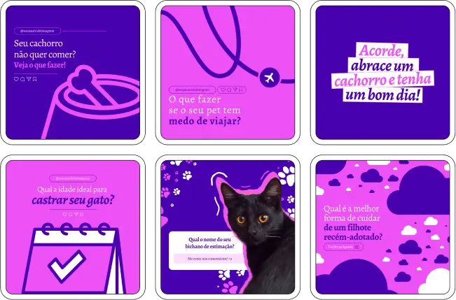 Imagem de amostra do produto Pack Canva com Artes/Posts editáveis para Pet Shop, mostrando uma variedade de conteúdos visuais atrativos para profissionais do mercado de afiliação e marketing digital. Inclui designs de posts, artes e conteúdo estratégico para promover uma imagem profissional e envolvente online. É um produto voltado para movimentar as redes sociais/social media do Instagram desses profissionais.