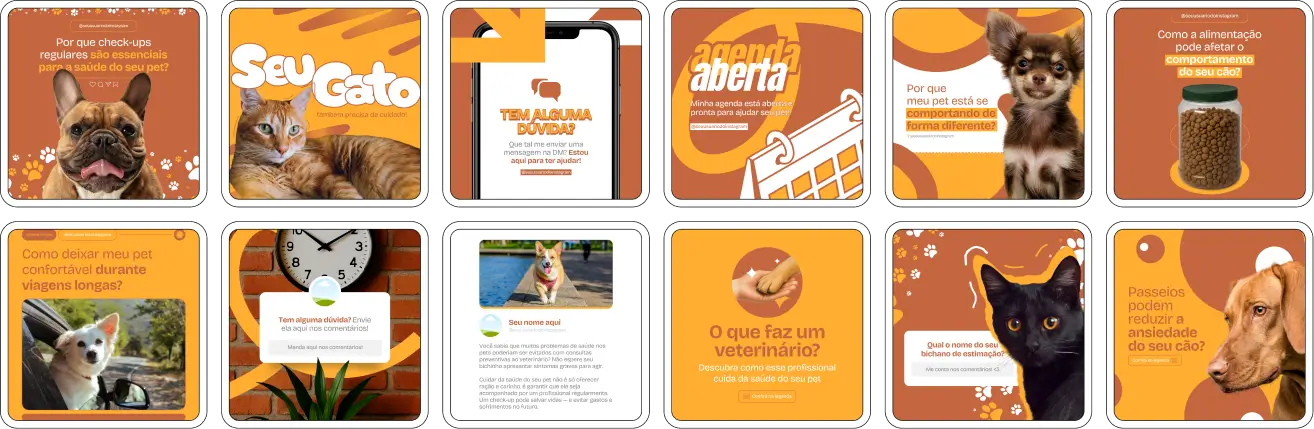 Kit Canva de veterinário com conteúdos sobre consultas e prevenção em saúde animal