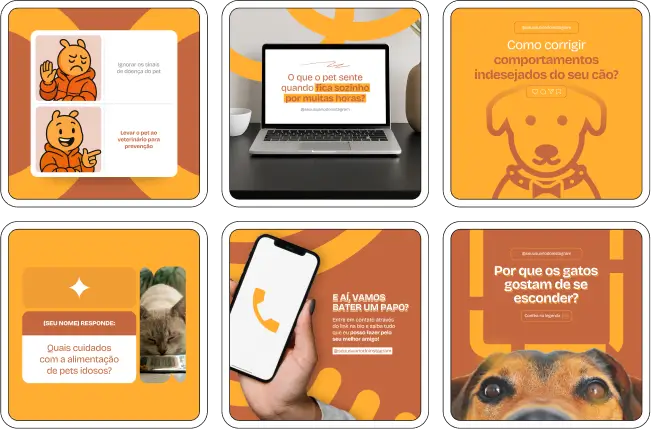 Posts para veterinários com conteúdos visuais sobre alimentação e bem-estar de animais domésticos