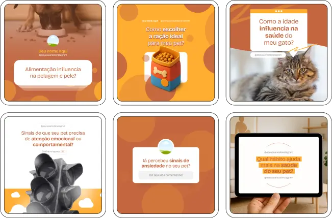 Pack Canva para veterinários com materiais sobre vacinação e saúde preventiva de animais