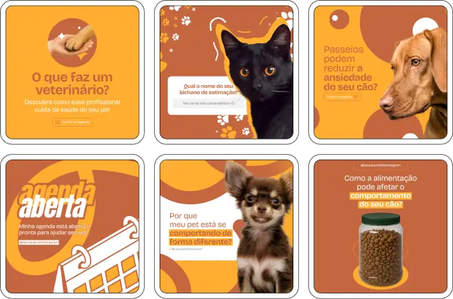 Templates para veterinários com posts sobre saúde animal e orientações para tutores de pets