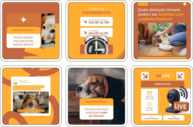 Kit de posts para veterinários com conteúdos sobre cuidados clínicos e prevenção em saúde animal
