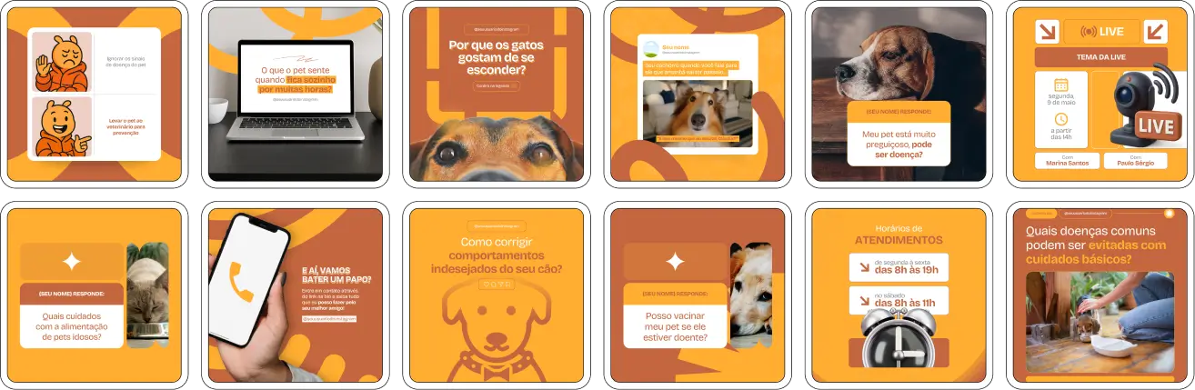 Kit Canva para veterinários com posts sobre cuidados básicos com pets e saúde preventiva animal