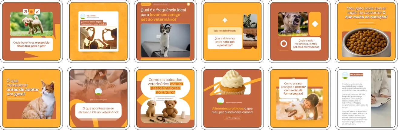 Posts para veterinários com conteúdos educativos sobre cuidados com cães e gatos
