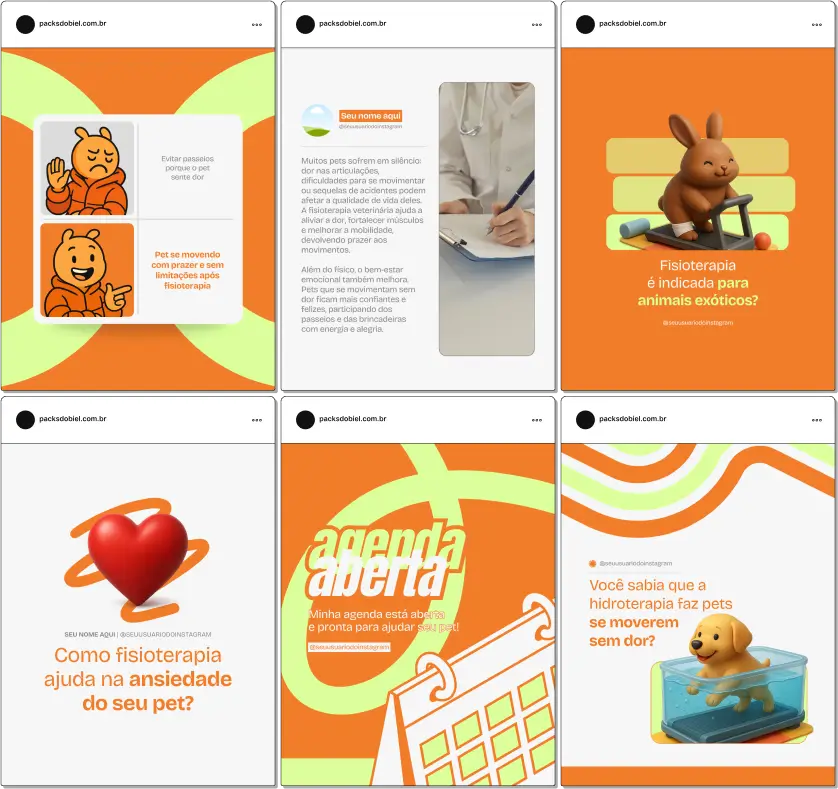 Com este Pack Canva de Fisioterapia Veterinária, você terá posts prontos e personalizáveis para redes sociais, abordando temas como fisioterapia canina e felina, recuperação de mobilidade, exercícios terapêuticos, cuidados pós-cirúrgicos, fortalecimento articular e dicas para tutores cuidarem da saúde de seus animais.