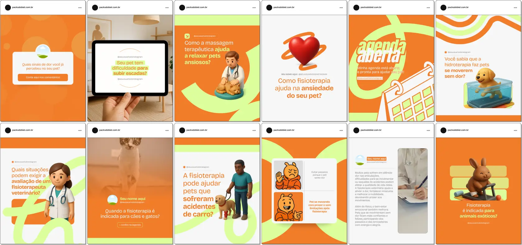 Kit de posts editáveis no Canva para profissionais de fisioterapia veterinária e clínicas especializadas em reabilitação animal. Inclui conteúdos para redes sociais sobre bem-estar pet, estimulação motora em cães e gatos, terapias de fortalecimento, prevenção de problemas locomotores e orientações práticas para tutores.