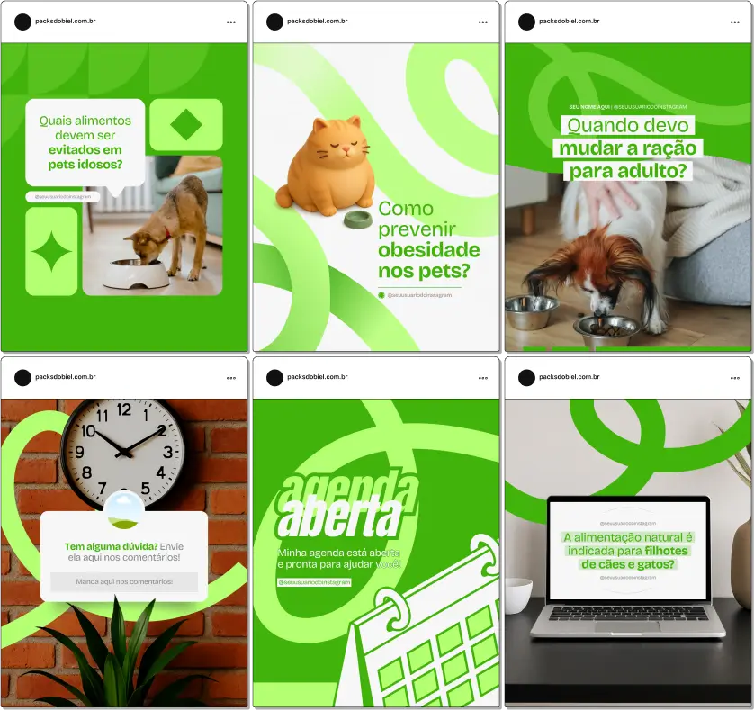 Com este Pack Canva de Nutrição Veterinária, você terá posts educativos sobre dietas específicas para diferentes espécies, orientação para tutores, controle de peso, nutrição preventiva, saúde digestiva e imunológica, receitas caseiras seguras e materiais totalmente personalizáveis para redes sociais.