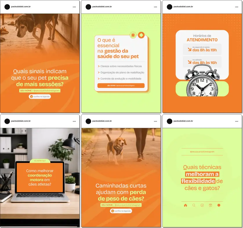 Pack de templates editáveis no Canva para fisioterapeutas que atendem cães e gatos, facilitando conteúdos sobre protocolos de reabilitação, fisioterapia preventiva, cuidados pós-trauma, desenvolvimento físico e qualidade de vida dos animais.