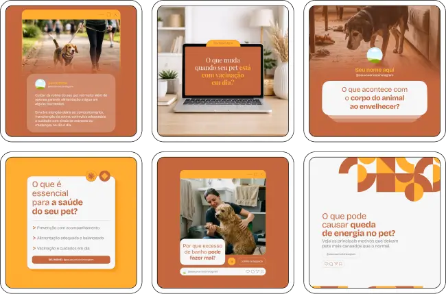 Pack Canva de veterinário com conteúdos visuais sobre saúde animal e consultas