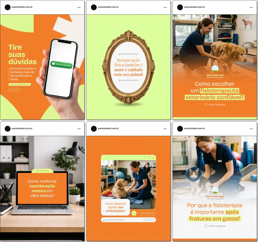 Pack de artes editáveis no Canva para profissionais de fisioterapia veterinária, ideal para produzir conteúdos sobre exercícios terapêuticos, mobilidade articular, prevenção de lesões, hidroterapia e bem-estar animal.
