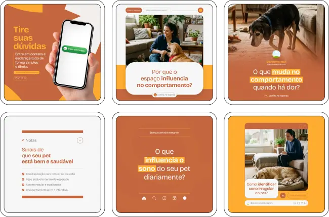 Kit de veterinário com posts sobre cuidados com cães, gatos e animais domésticos