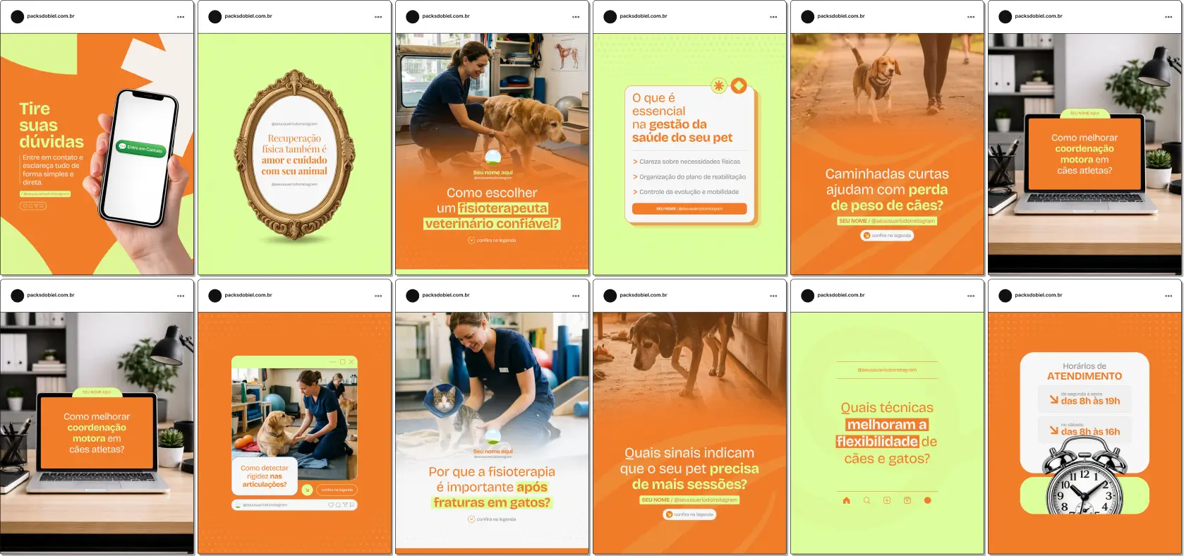 Pack de posts editáveis no Canva para fisioterapeutas veterinários que desejam criar conteúdos sobre reabilitação animal, recuperação pós-cirúrgica, fisioterapia ortopédica, alongamentos e fortalecimento muscular em pets, mantendo um feed profissional e educativo.