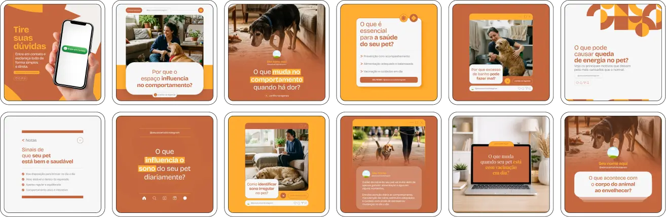 Posts editáveis para veterinários com templates sobre bem-estar animal e prevenção
