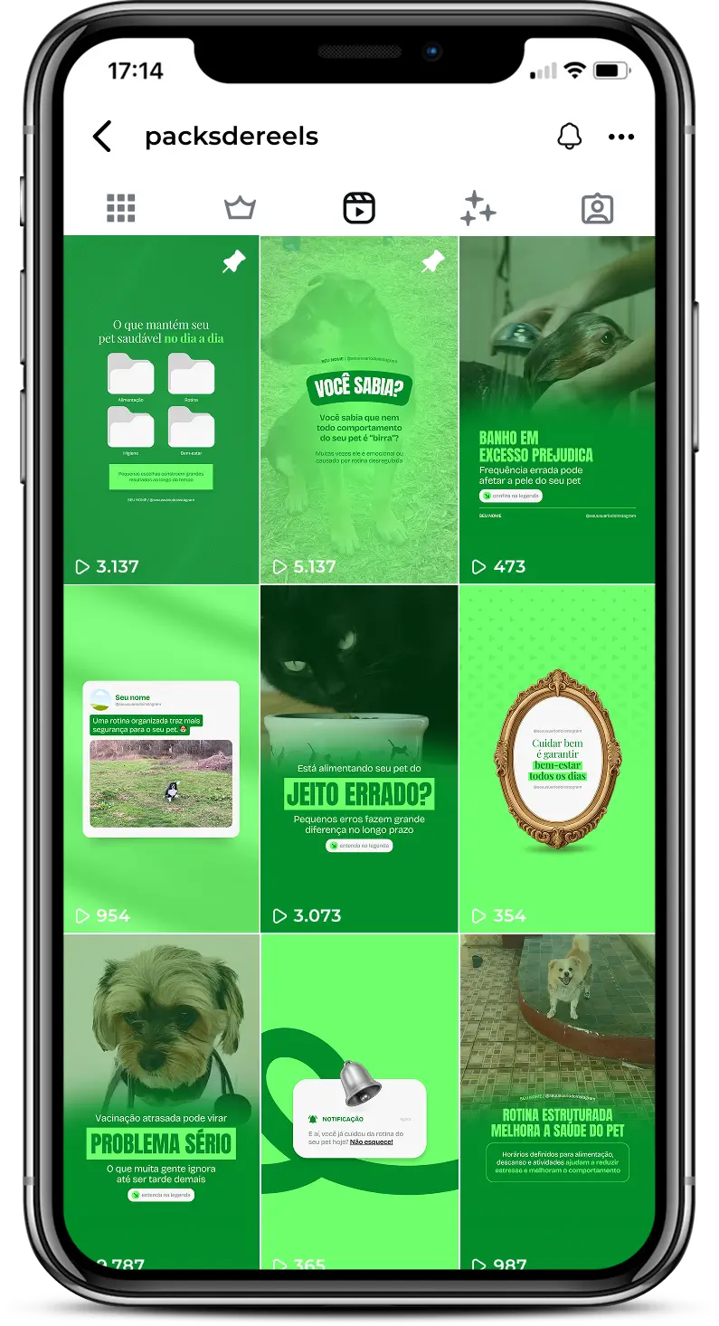 Pack de artes editáveis no Canva para Reels de cuidados com o pet, ideal para pet shops, veterinários e profissionais do segmento pet que desejam criar conteúdos dinâmicos sobre higiene, alimentação, banho, saúde e bem-estar de cães e gatos, aumentando o engajamento no Instagram.