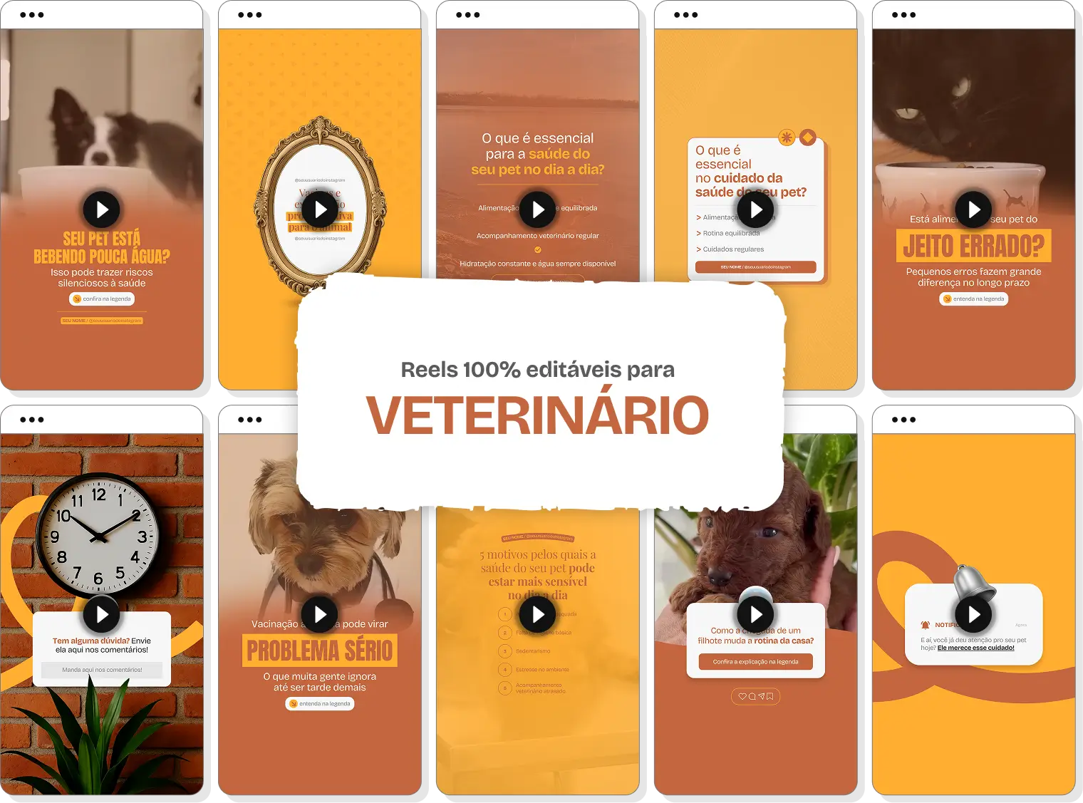 Mosaico com templates editáveis de Reels do Instagram mostrando Pack de conteúdos para Veterinário. Telas verticais com dicas de conteúdo e destaque central para o texto Reels 100% editáveis.